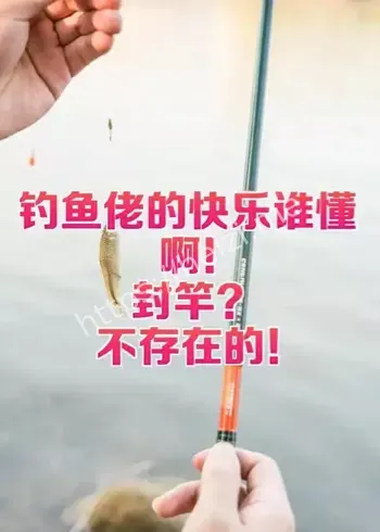 钓鱼乐趣